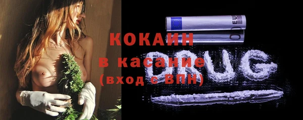 сатива Абаза