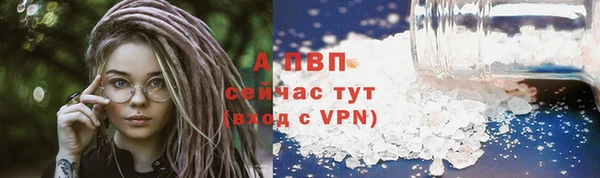 сатива Абаза