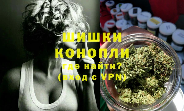 сатива Абаза