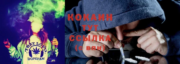 сатива Абаза